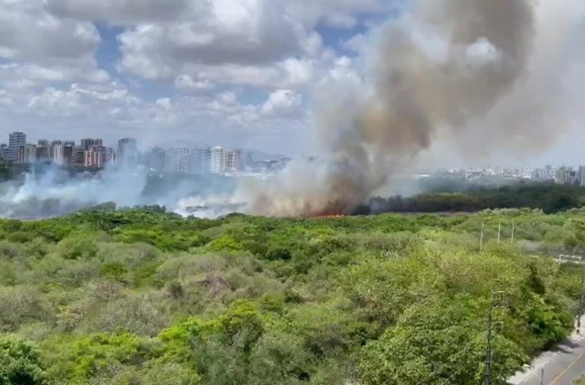  Fumaça de incêndio no Parque do Cocó, em Fortaleza, chegou até a cidade vizinha; veja imagens – G1